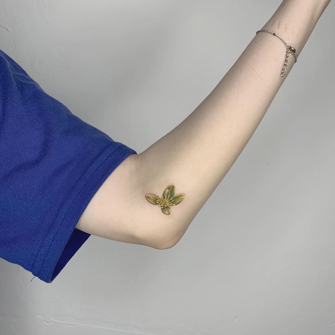 Flower
