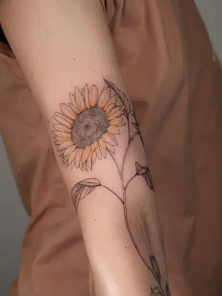 Flower, 해바라기