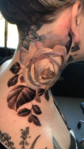 Flower, Rose, Nature