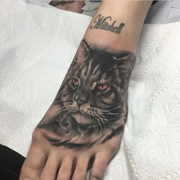 Animal