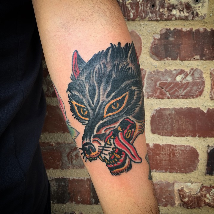 Tiger, Animal