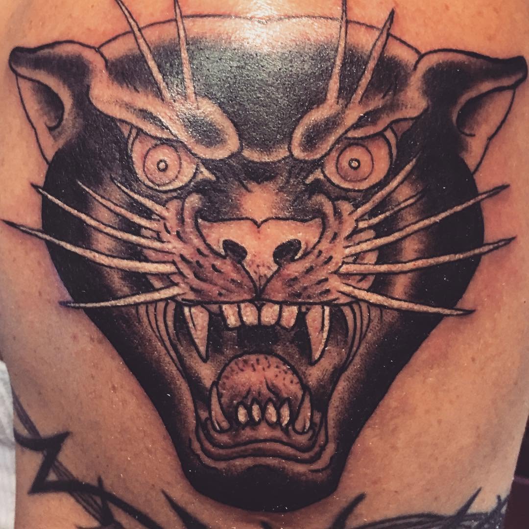 Tiger, Animal