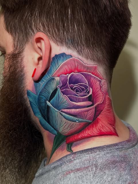 Flower, Rose, Nature