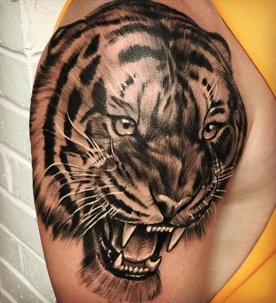 Tiger
