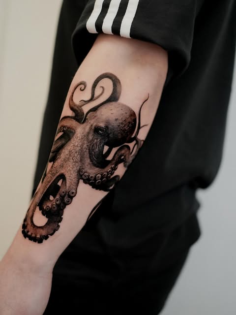 Animal, 크라켄, 문어, 오징어