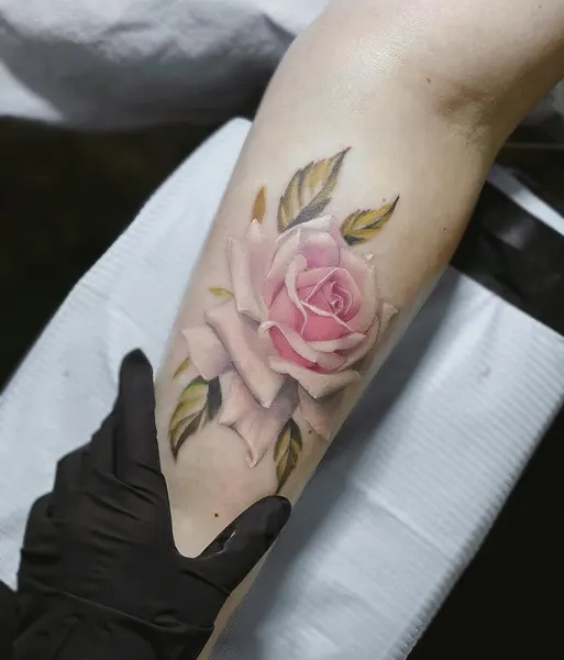 Flower, Rose