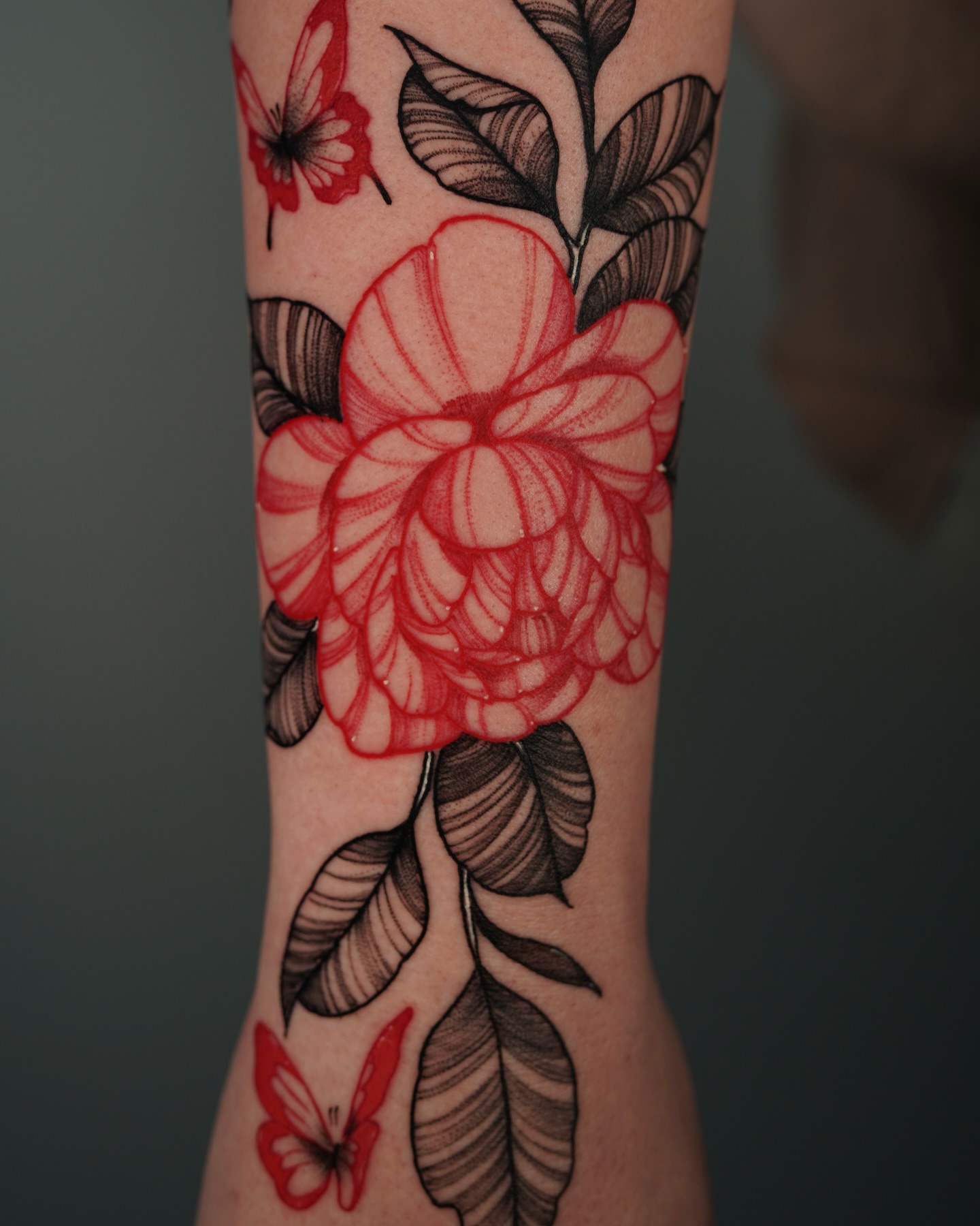 Animal, Nature, Flower