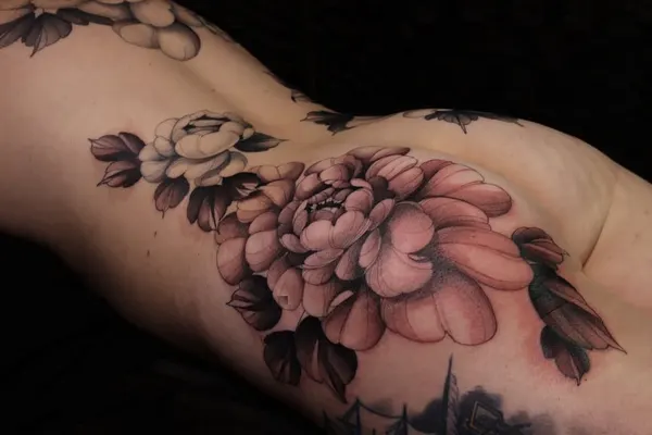 Flower, Rose