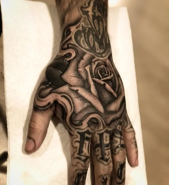 Flower, Rose
