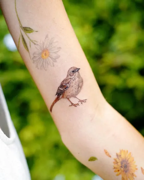 Animal, Nature