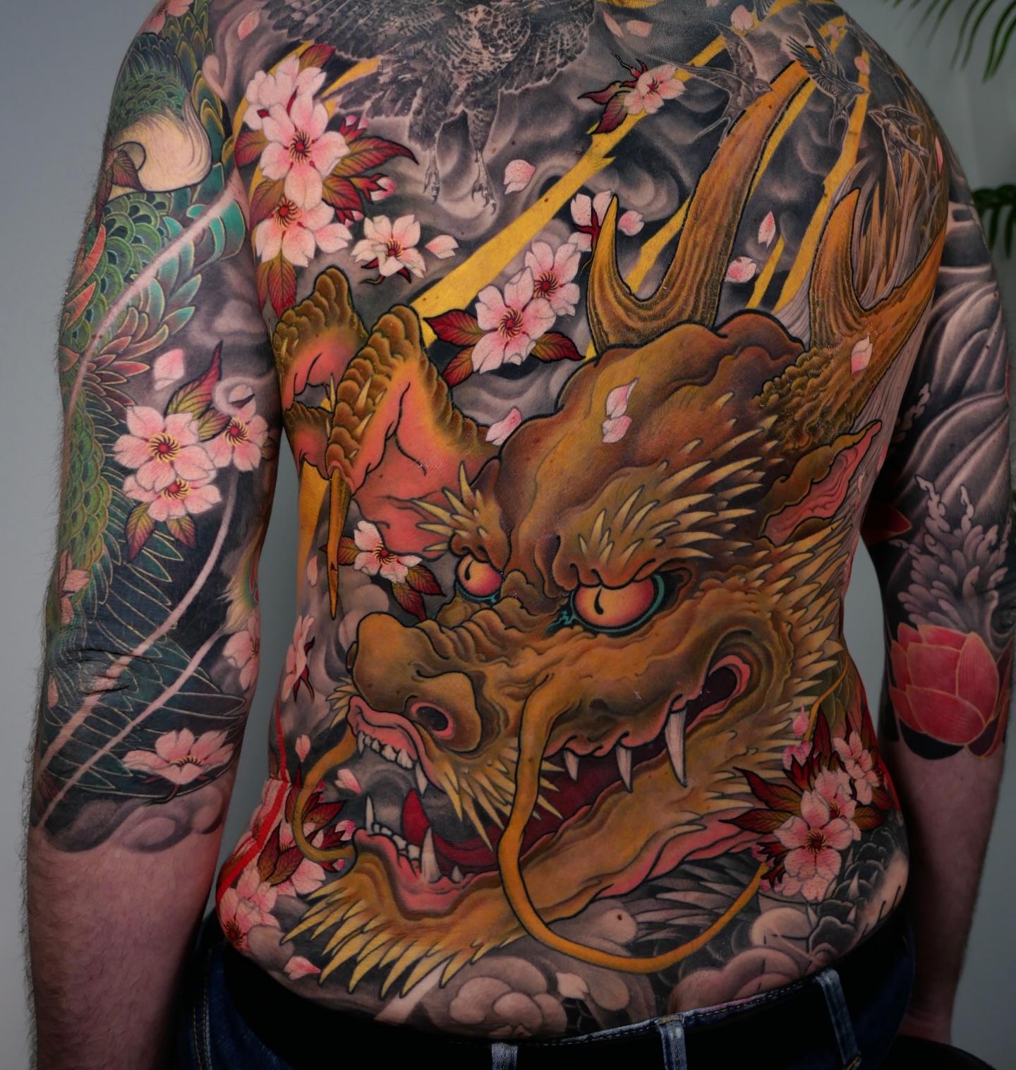 Dragon