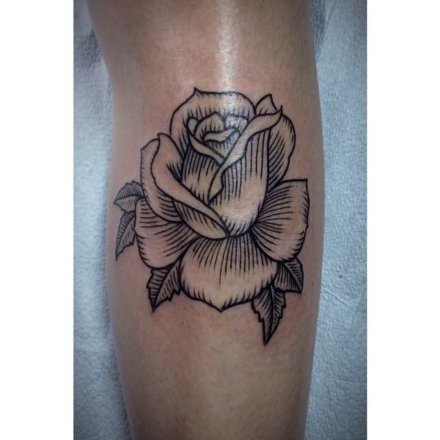 Flower, Rose