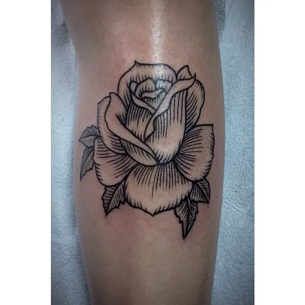 Flower, Rose