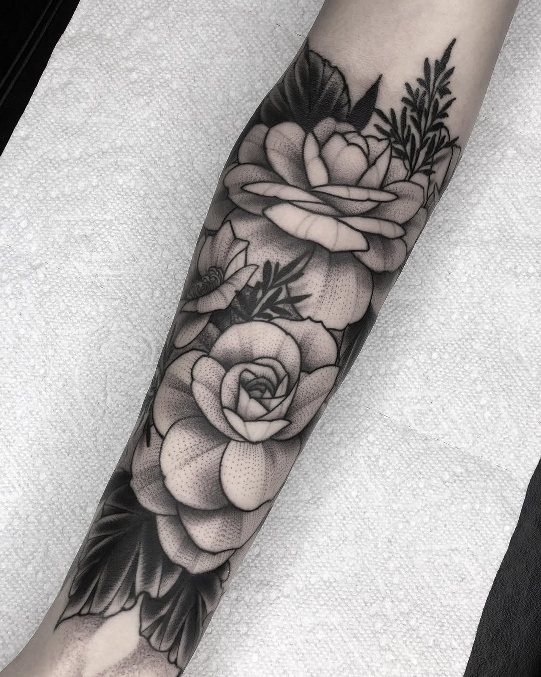 Flower, Rose