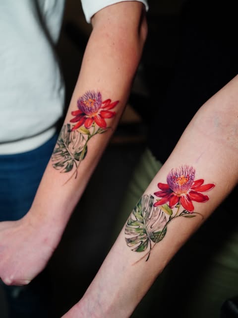 Flower, Rose