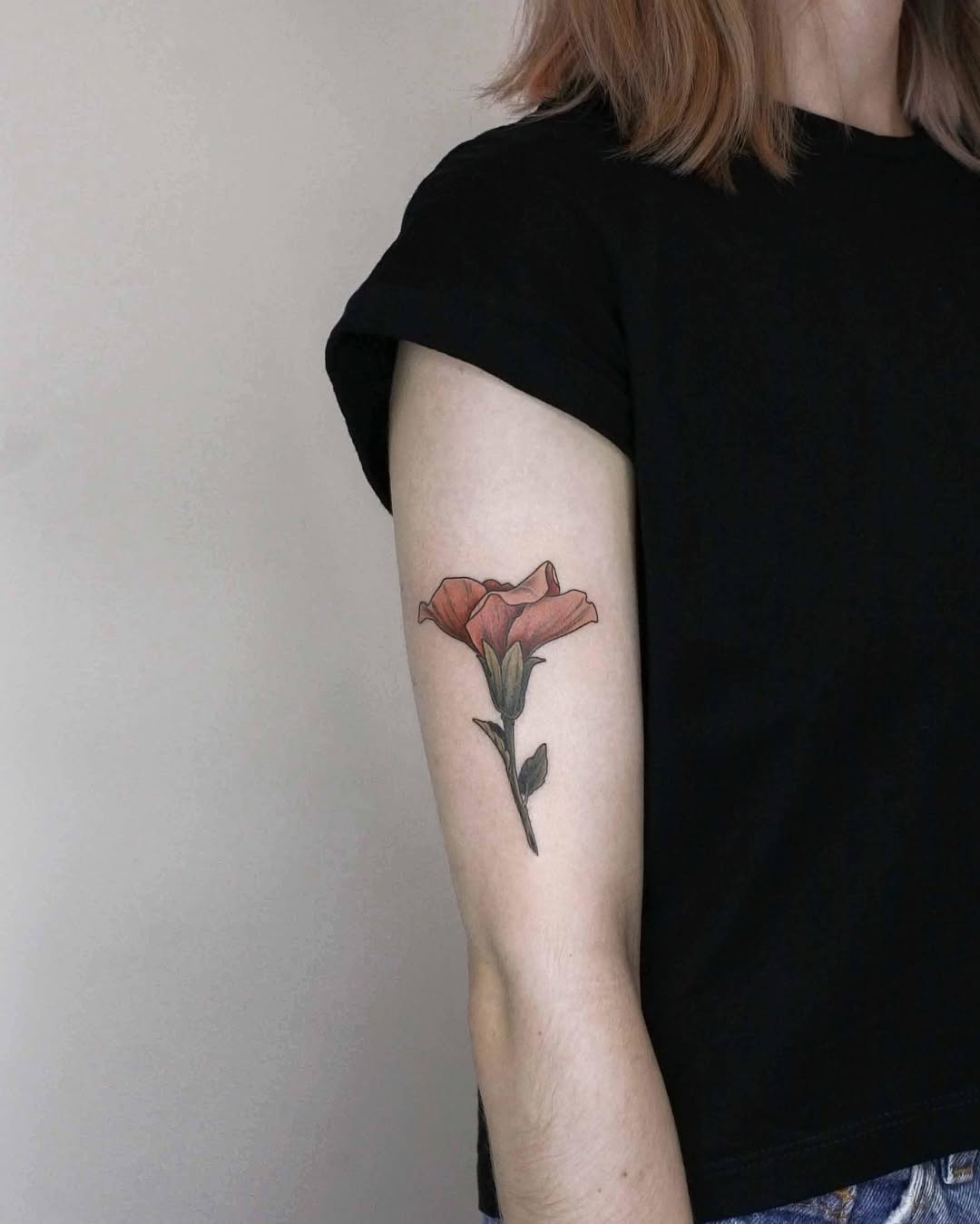 Flower, Rose, Nature