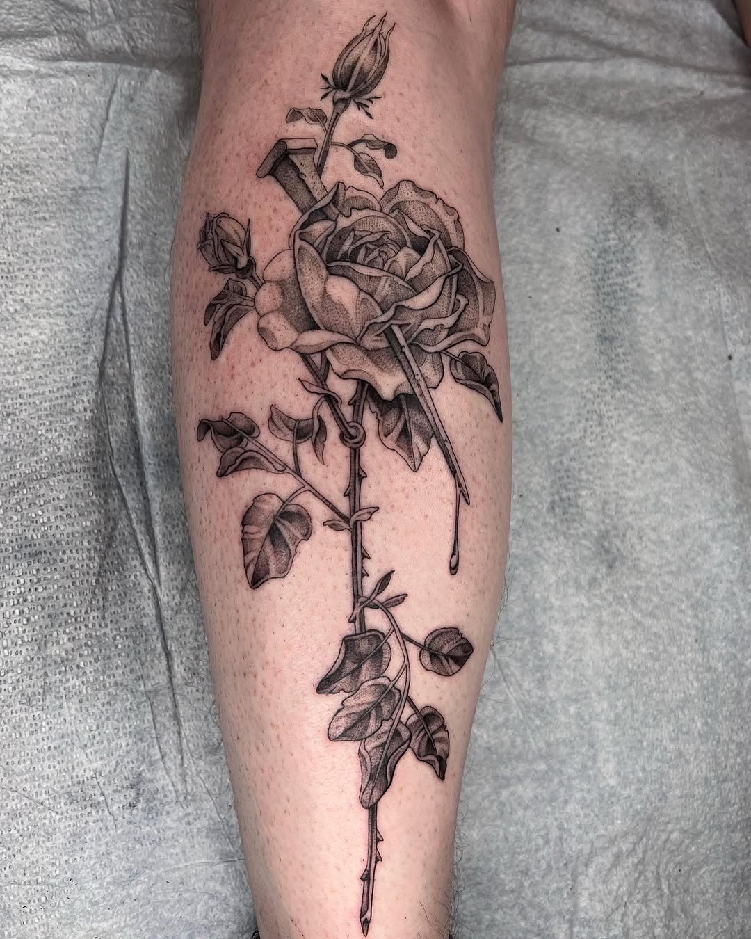 Flower, Rose