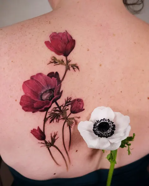 Flower, Rose, Nature
