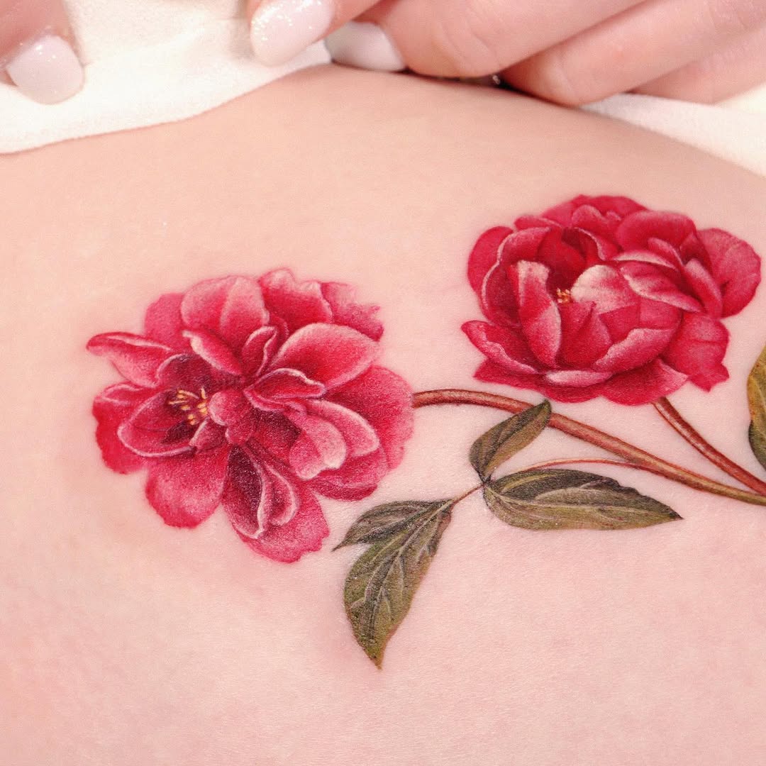 Flower, Rose