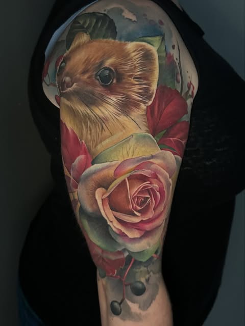 Animal, 곰