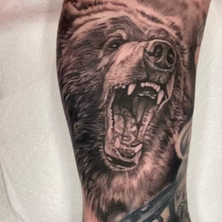 Animal