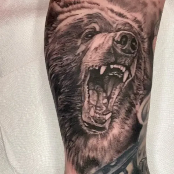 Animal