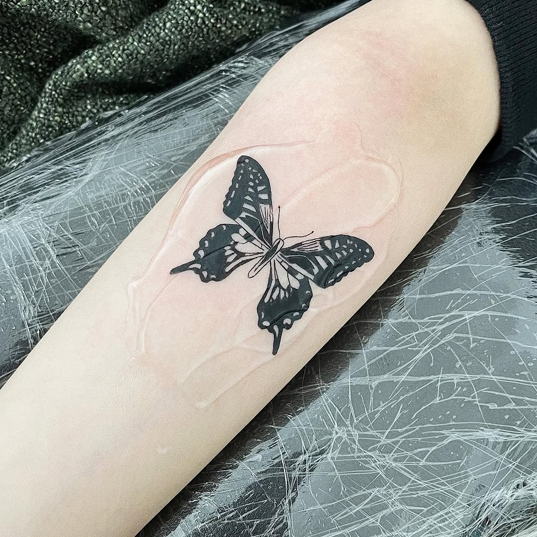 Animal, Nature