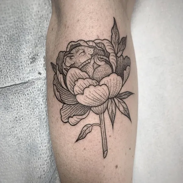 Flower, Rose