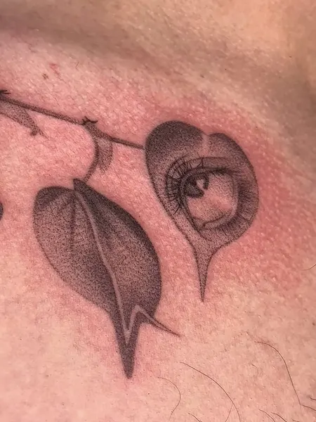 Flower, Rose, Nature