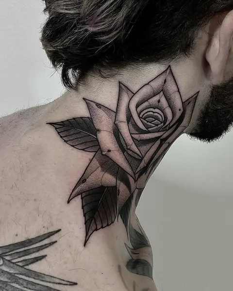 Flower, Rose, Nature