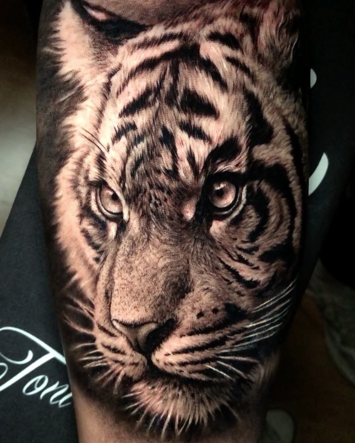Tiger, 중국 호랑이