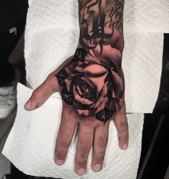 Flower, Rose