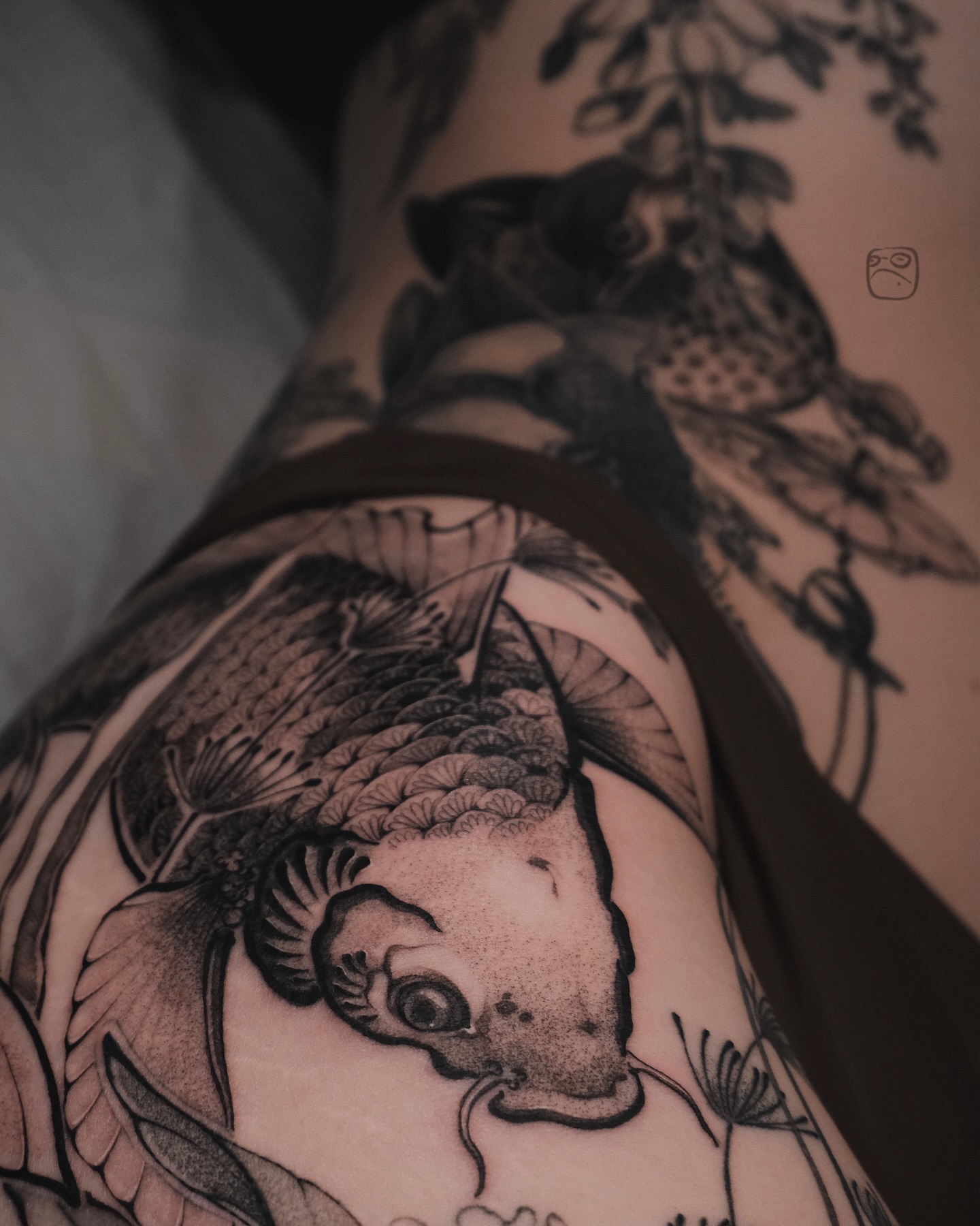 sasha.zhaba