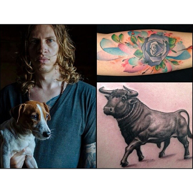 Animal