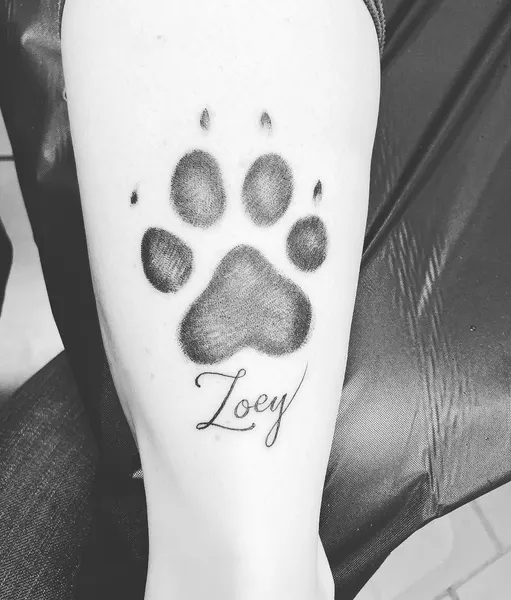 Animal