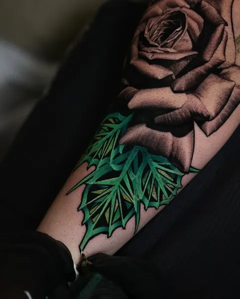 Flower, Rose