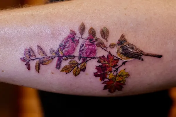 Animal, Nature, Flower
