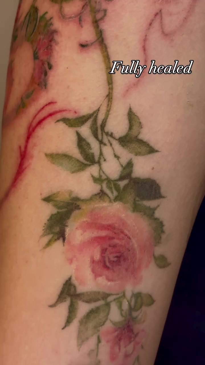 Flower, Rose