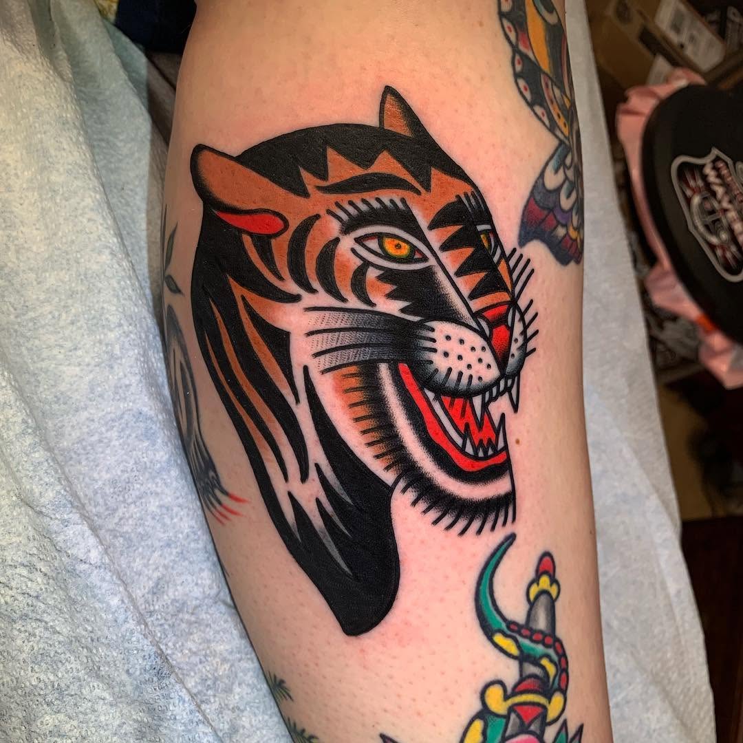 Tiger, Animal