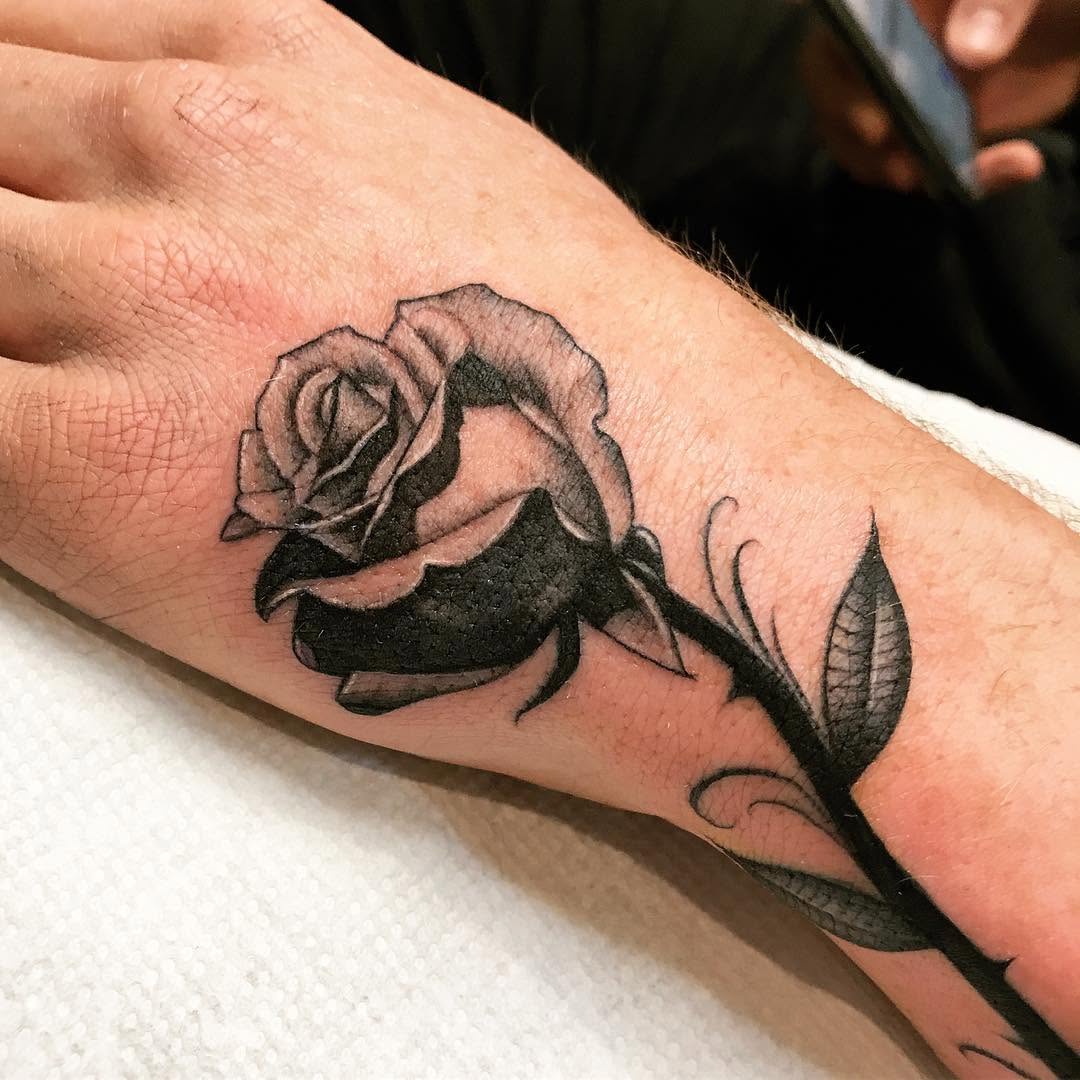 Flower, Rose