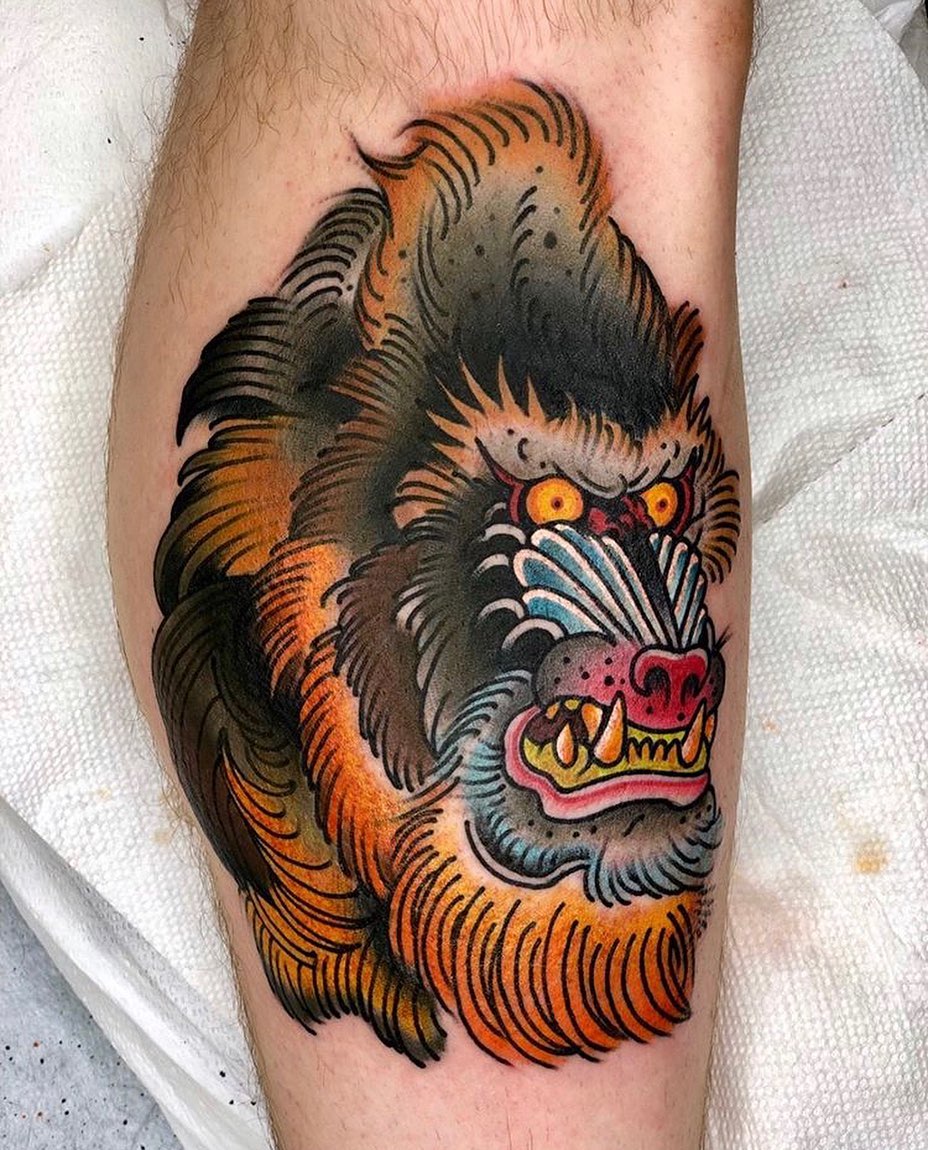 Tiger, Animal