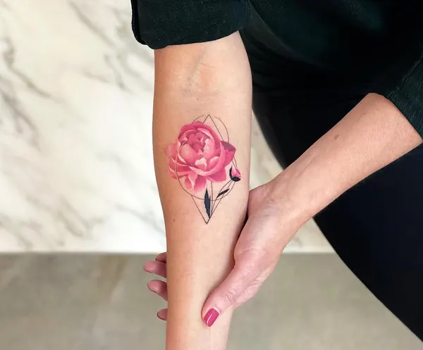 Flower, Rose