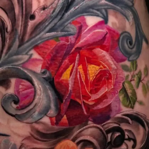 Flower, Rose