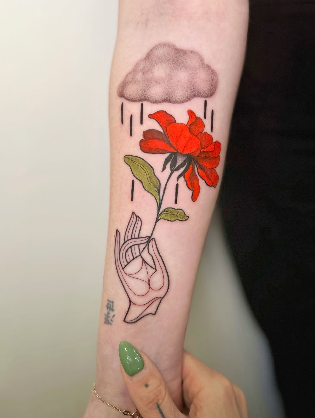 Flower, Rose