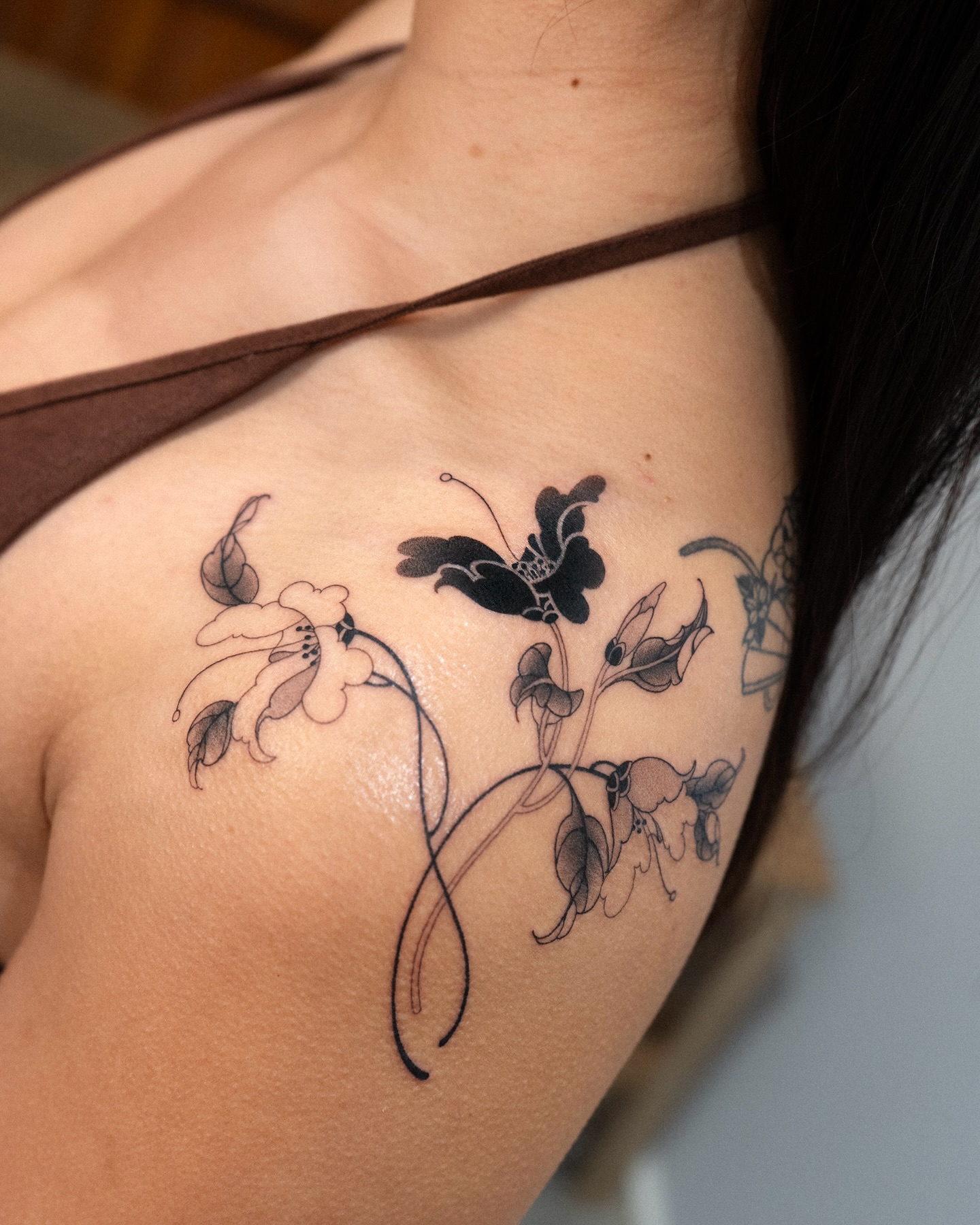 Flower, Rose, Nature