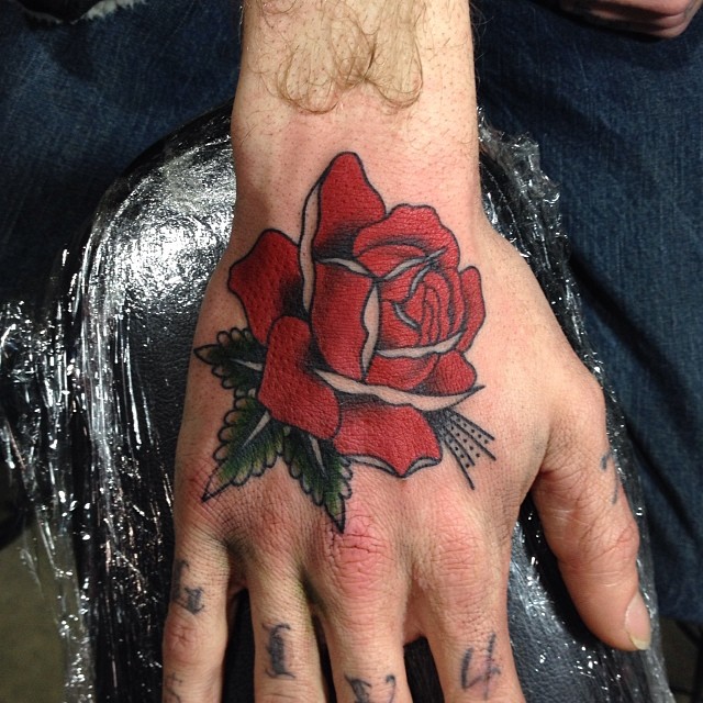 Flower, Rose
