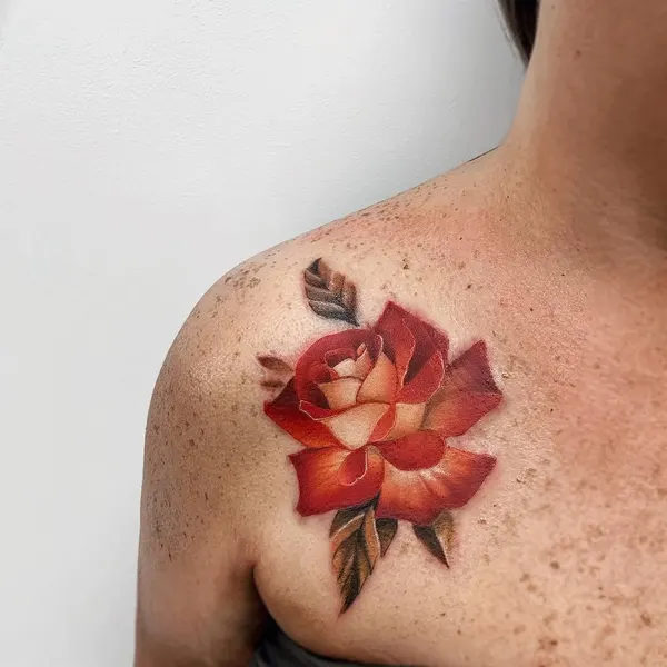 Flower, Rose, Nature