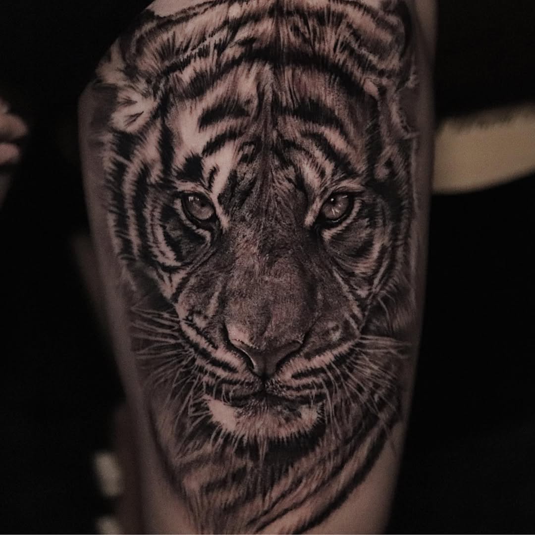 Tiger, 중국 호랑이