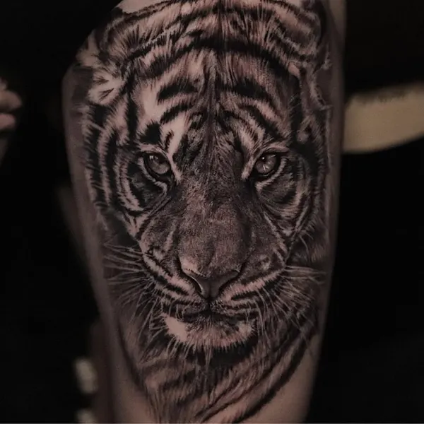 Tiger, 중국 호랑이