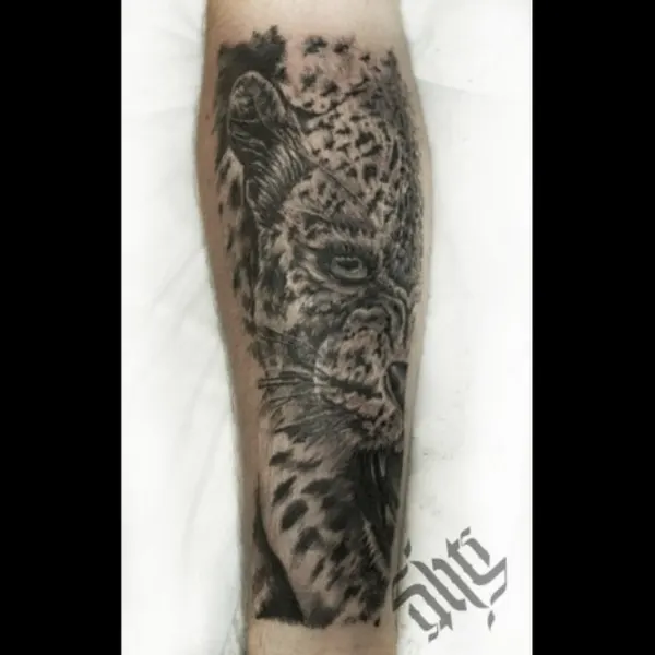 Tiger, Animal